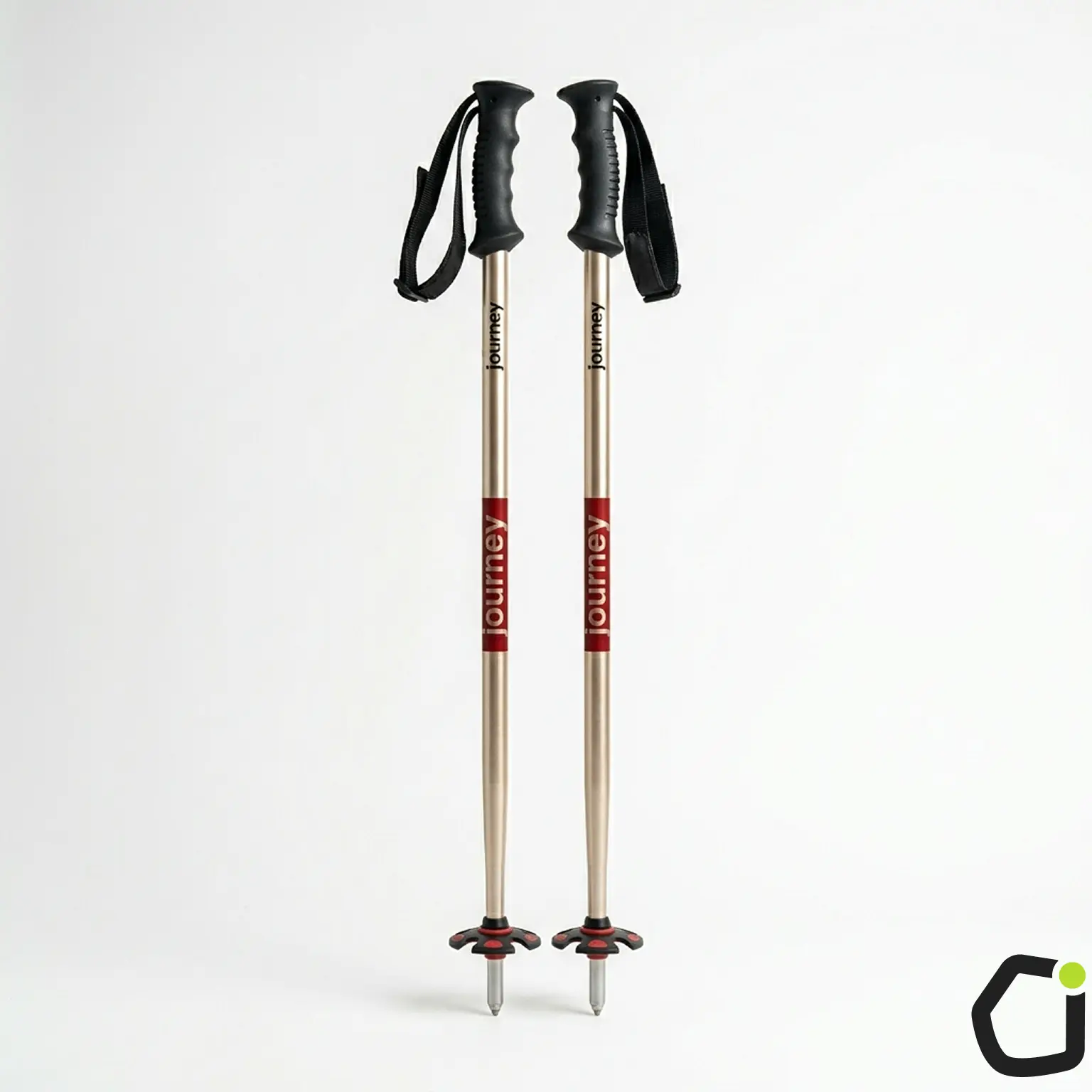 JOURNEY Alpine Ski Poles